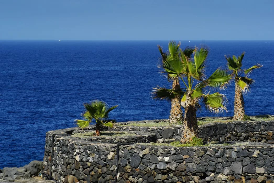 Callao Salvaje – billigt alternativ mellem Costa Adeje og Américas